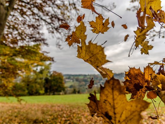 What October teaches us about business seasons
