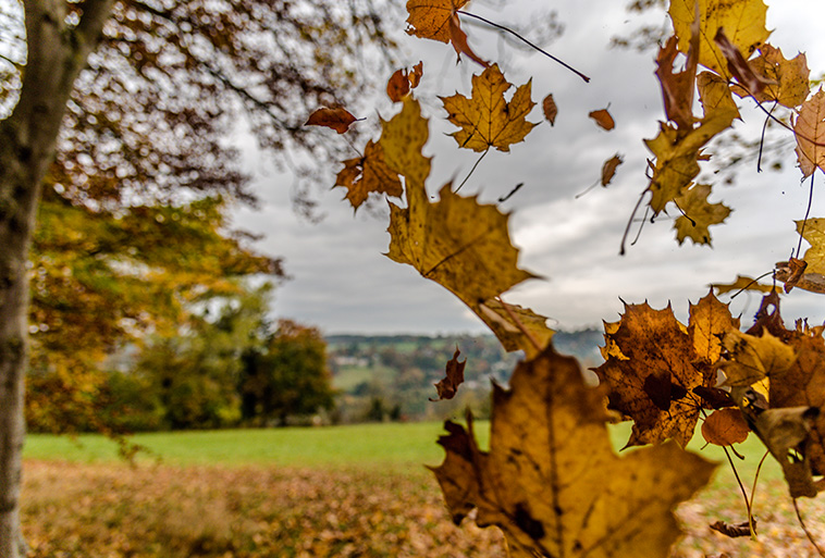 What October teaches us about business seasons
