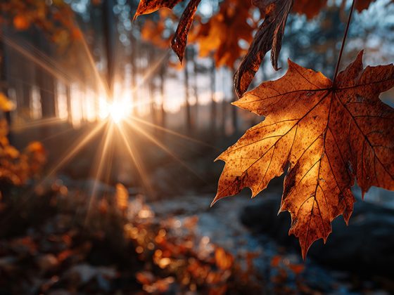 Autumn financial reset for small business owners